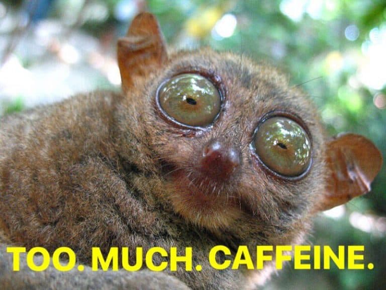 Signs You Might Be Drinking Too Much Coffee (humor) Procaffeination