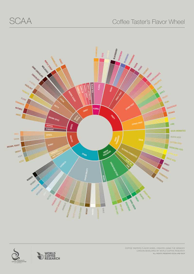 Guide to Coffee Roasting Levels with Charts! Info Before You Buy