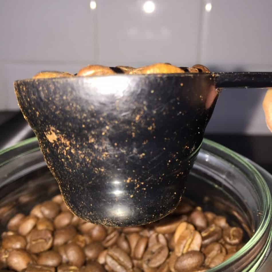 One scoop of coffee beans