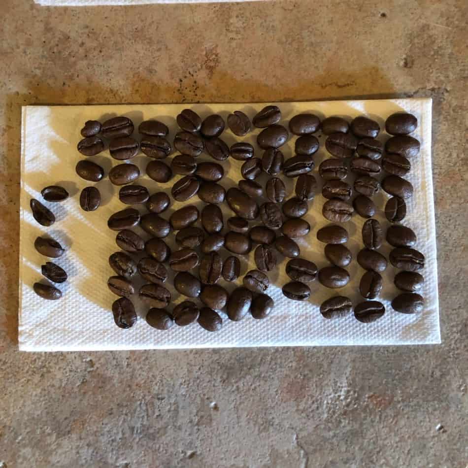 How Many Coffee Beans to Make a Cup? Procaffeination