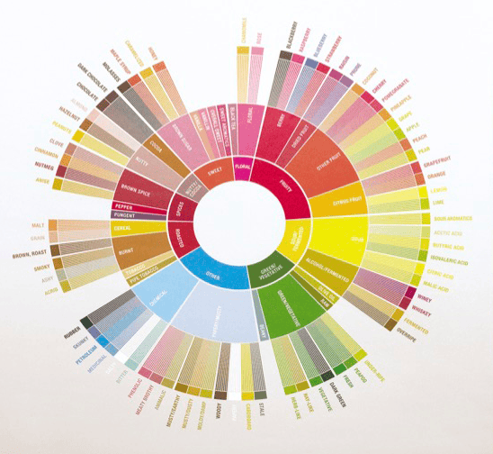 How to use the back page of the Coffee Lover's Guide and the SCA Flavor Wheel when rating coffee.